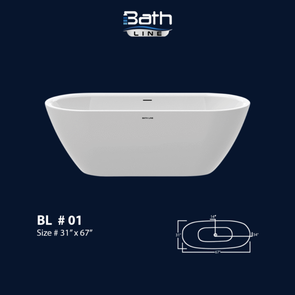 BL # 01